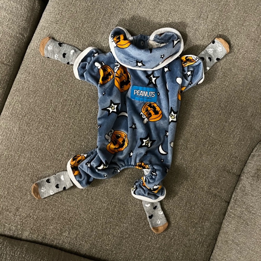 NWOT Peanuts Blue Halloween Small Dog One Piece With Grey Paw Print Socks